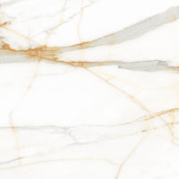 Piso Cerâmico Angelgres Valencia 60x60cm 2,52m2
