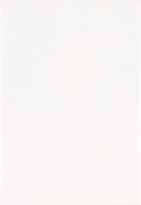 Revestimento Cerâmico Cejatel White Mate 31x59cm 2,19m2